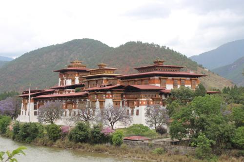 for-new-site-2-scaled